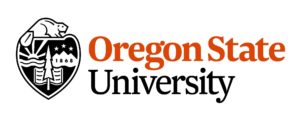 top colleges that offer online programs
