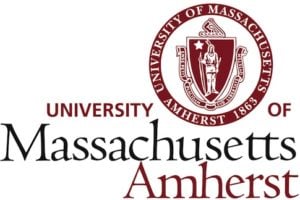 online bachelor's in accounting