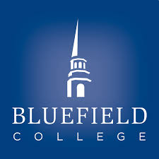 online bachelor of childhood education