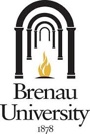 online bachelor of childhood education