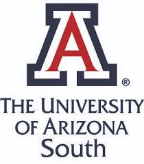 online bachelor of childhood education