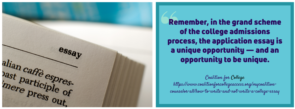 Outstanding Essay Tips-fact 2