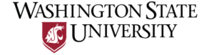 Online Language Studies Degree