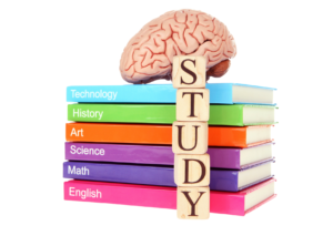 studying - concept
