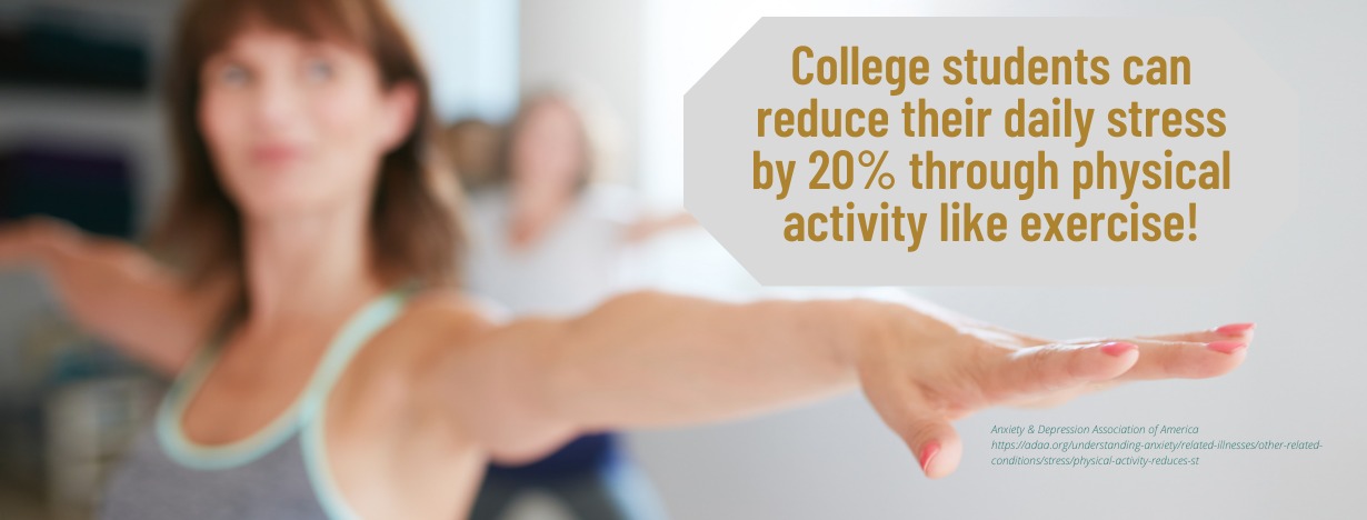 Optimizing Student Energy Fact - Exercising