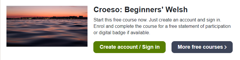11 - 12 Free Online College Classes for Foreign Language