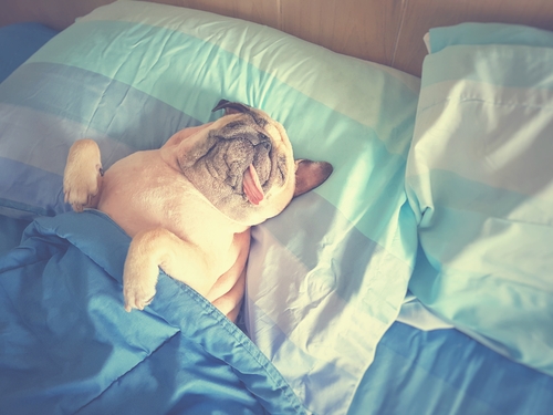 sleep in college