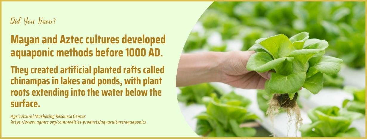 colleges that teach aquaponics - fact
