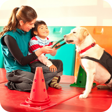 Animal Therapist