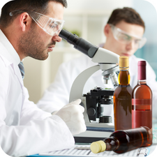 Fermentation Scientist