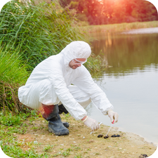 Scatologist