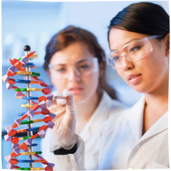 Genetic Biology