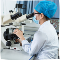 Human Behavior and Hormones Biology