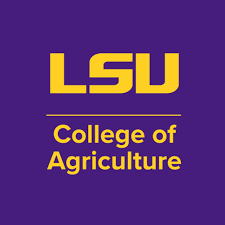 Online Construction Management Bachelor's Degree