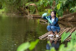 Environmental Science Career Guide