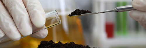 Environmental Science Career Guide