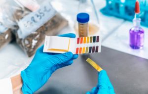 Online Environmental Science Bachelor's Degree