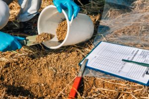 Online Environmental Science Bachelor's Degree