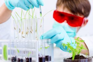 Online Environmental Science Bachelor's Degree