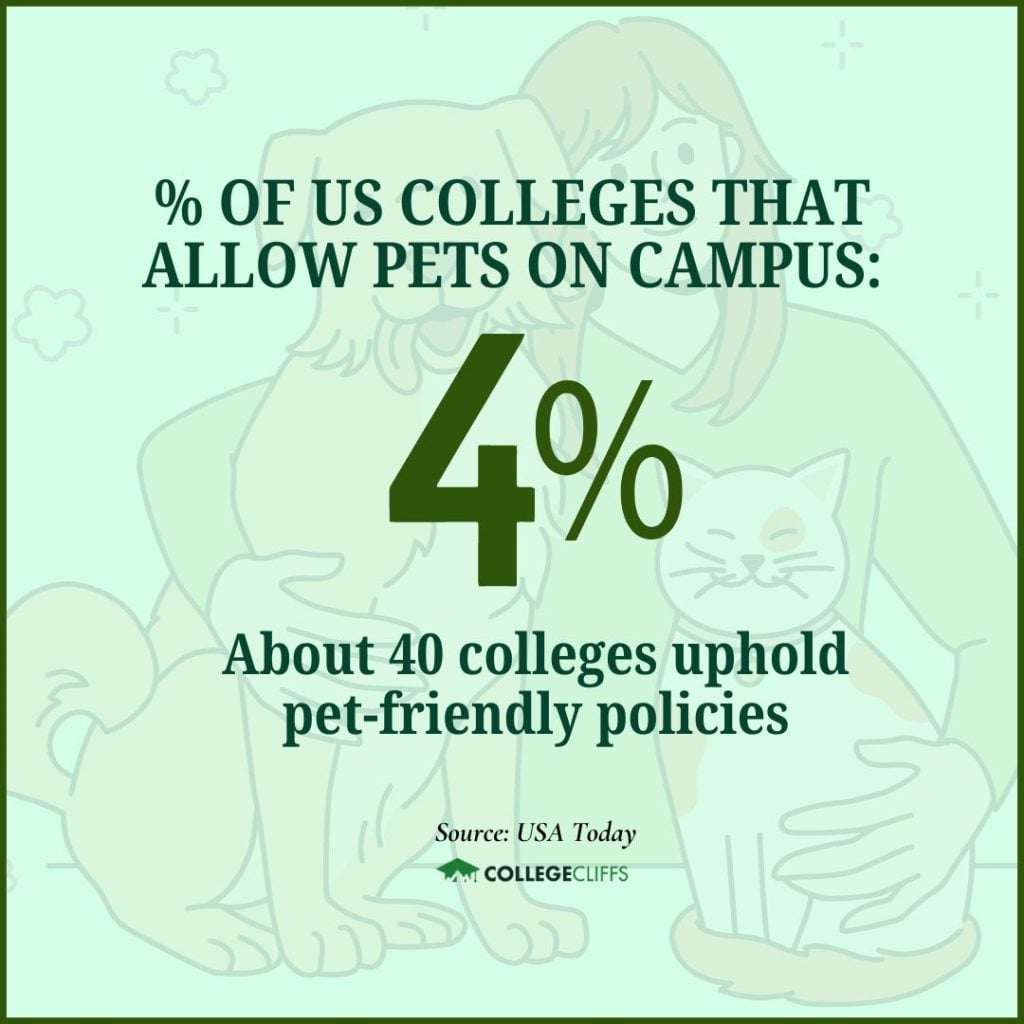 Pet-Friendly College Dorms - Pet-friendly Colleges