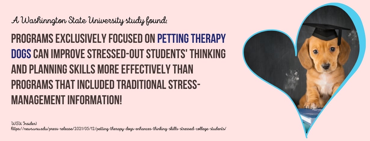 Pet-Friendly College Dorms - fact