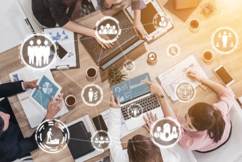 What typical online coursework is included in a Human Resources Doctoral program?