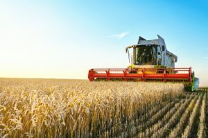 Agricultural Engineers