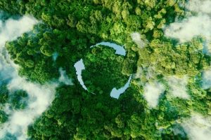 How long does an online Sustainability degree get completed?