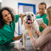 20 Best Careers for People with Anxiety and Depression - Veterinarian