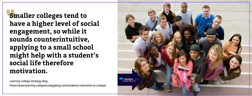 Encouraging Shadow Prompts for Students in College - fact