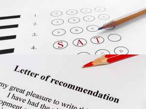 Enhancing Your Skills While You're Deferred or Waitlisted - Image