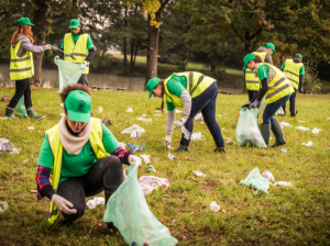 Support or join sustainability initiatives. - Image