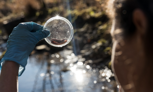All About Zoology and Animal Science - Image