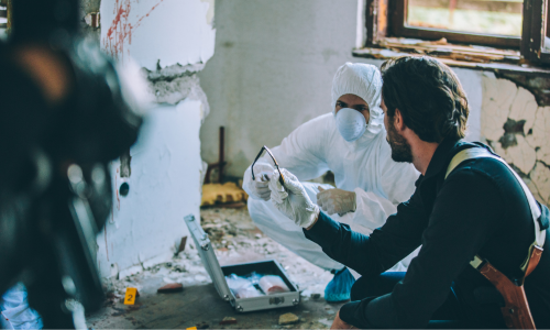 How Can You Get Started in Crime Scene Investigation - Image