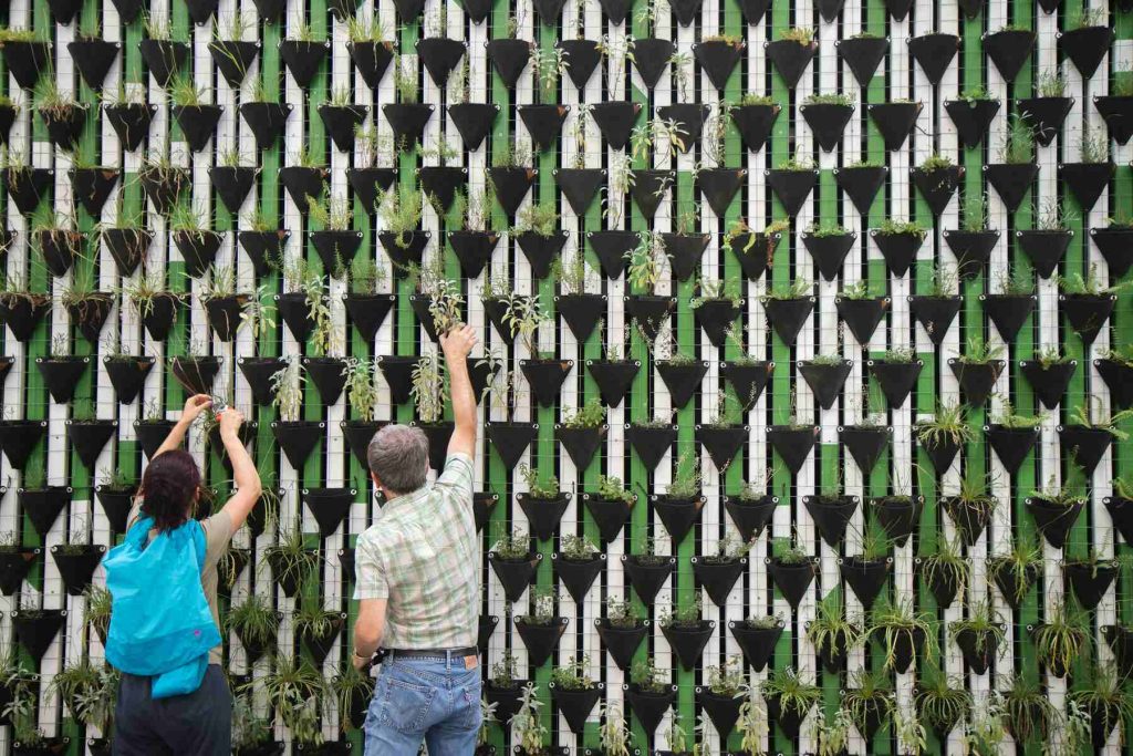 Two people standing in front of a plant-covered wall