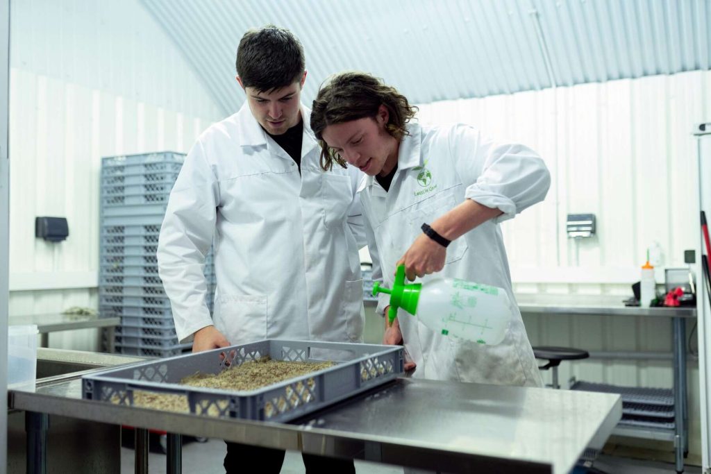 Two scientists wearing white coats are pouring chemicals into their experiment